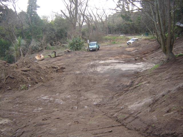 LSP- the beginning, 2008-11 Cambridge Tree Trust